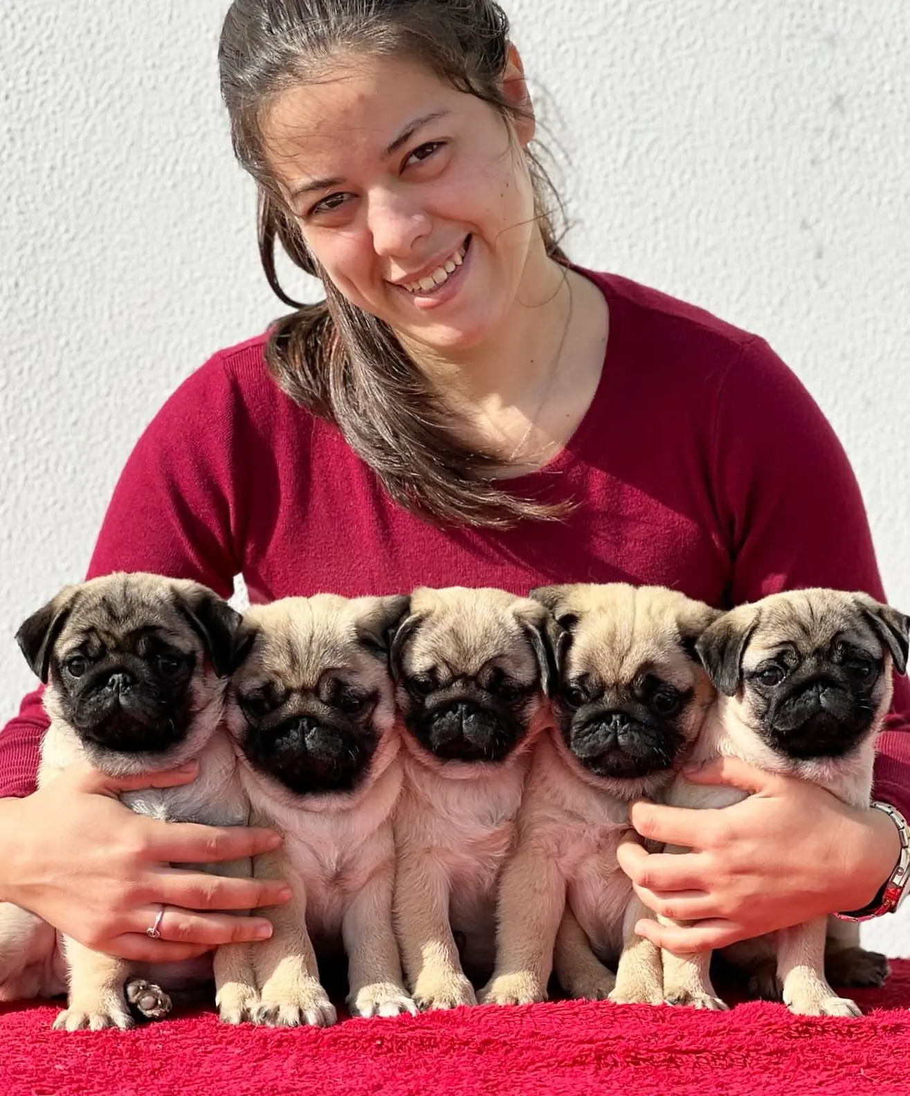 glorious_spirit_pugs-20250627-0001